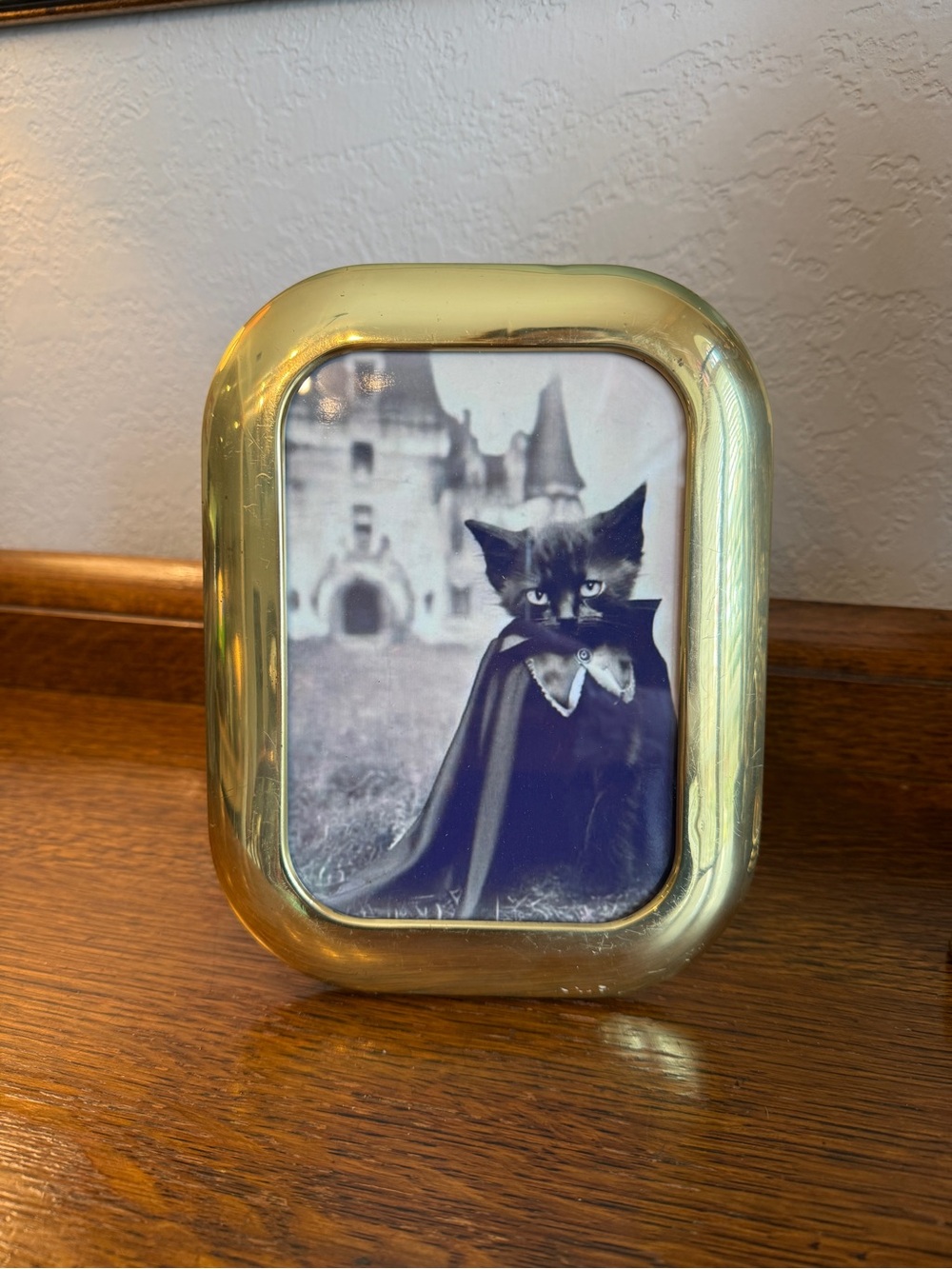 Vintage Solid Brass 5” X 7” Photo Frame with Gothic Black Cat - Picture 9 of 9